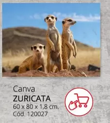 Oferta de Zuricata - Canva en Conforama