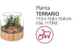 Oferta de Terrario en Conforama