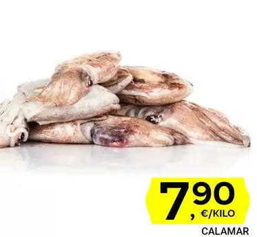 Oferta de Calamar por 7,9€ en Supermercados Dani