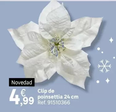 Oferta de Clip De Poinsettia por 4,99€ en Leroy Merlin