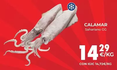 Oferta de Calamar por 14,29€ en CashDiplo