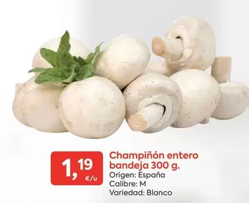 Oferta de Origen - Champinon Entero Bandeja por 1,19€ en Suma Supermercados