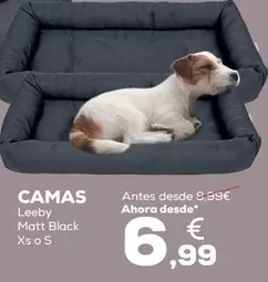 Oferta de Leeby - Camas por 6,99€ en Kiwoko