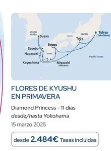 Oferta de Flores De Kyushu En Primavera por 2484€ en Nautalia Viajes