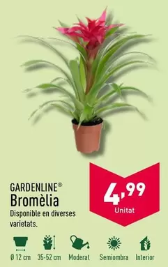 Oferta de Gardenline - Bromèlia por 4,99€ en ALDI