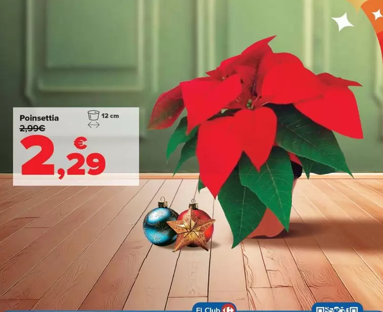 Oferta de Poinsettia por 2,29€ en Carrefour