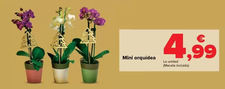 Oferta de Mini Orquídea por 4,99€ en Carrefour