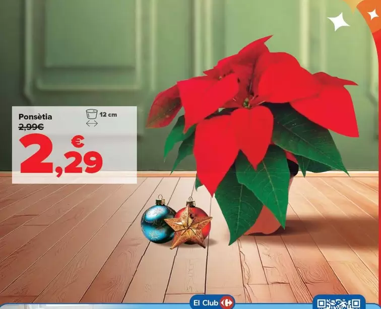 Oferta de Poinsettia por 2,29€ en Carrefour