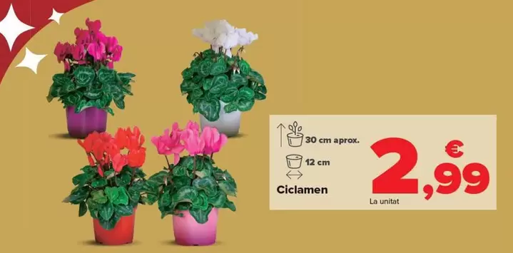 Oferta de Ciclamen por 2,99€ en Carrefour