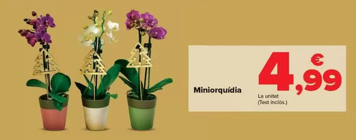 Oferta de Mini Orquídea por 4,99€ en Carrefour