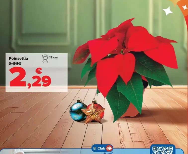 Oferta de Poinsettia por 2,29€ en Carrefour