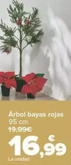 Oferta de Arbol Bayas Rojas por 16,99€ en Carrefour