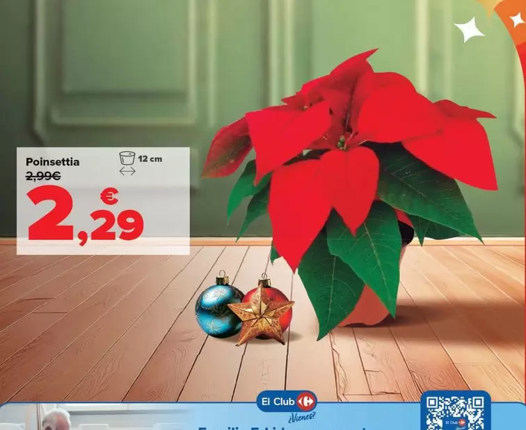 Oferta de Poinsettia por 2,29€ en Carrefour