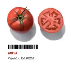 Oferta de Amelia en Makro