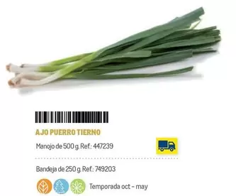 Oferta de Makro - Ajo Puerro Tierno en Makro