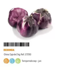 Oferta de Redonda en Makro