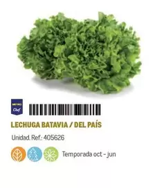 Oferta de Chef - Metro  - Lechuga Batavia / Del País en Makro