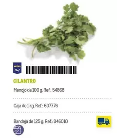 Oferta de Chef - Metro  - Cilantro en Makro