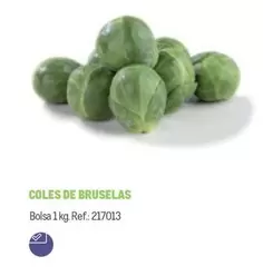 Oferta de Bruselas - Coles De Bruselas en Makro