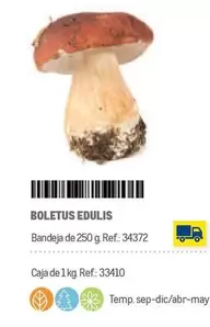 Oferta de Edulis - Boletus Edulis en Makro