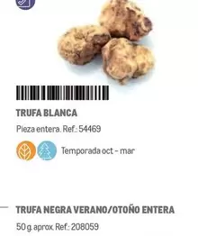 Oferta de Trufa Negra Verano/otono Entera en Makro