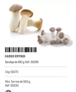 Oferta de Cardo Eryngi en Makro