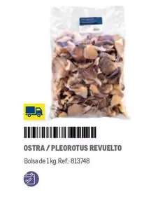 Oferta de Ostra / Pleorotus Revuelto en Makro