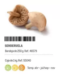 Oferta de Chef select - Senderuela en Makro