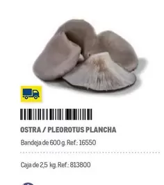 Oferta de Chef select - Ostra / Pleorotus Plancha en Makro