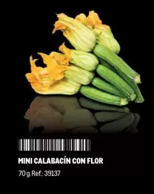 Oferta de Flor - Mini Calabacín Con en Makro