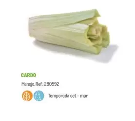 Oferta de Cardo Mango en Makro