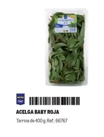 Oferta de Chef - Acelga Baby Roja en Makro