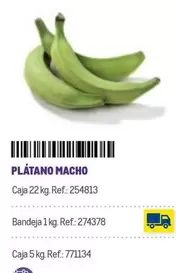 Oferta de Platano Macho en Makro