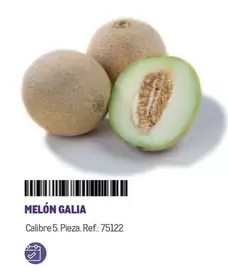 Oferta de Melón Galia en Makro