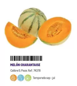 Oferta de Melon Charantaise en Makro