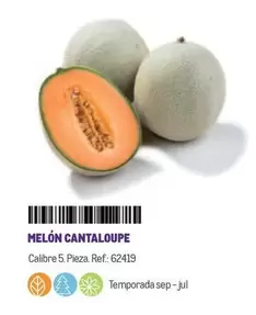 Oferta de Melón Cantaloupe en Makro