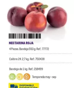 Oferta de Nectarina Roja en Makro