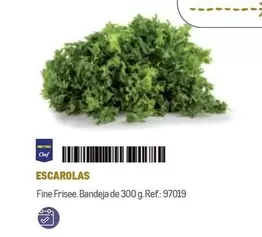 Oferta de Chef - Metro  - Escarolas en Makro