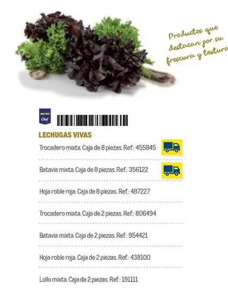 Oferta de Chef - Lechugas Vivas en Makro