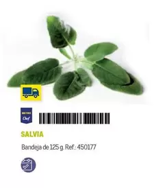 Oferta de Chef select - Salvia en Makro