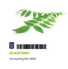 Oferta de Chef - Metro  - Hoja De Curry en Makro