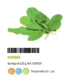 Oferta de Acedera en Makro