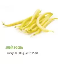 Oferta de Judia Pocha en Makro