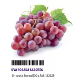 Oferta de Uva Rosada Sabores en Makro