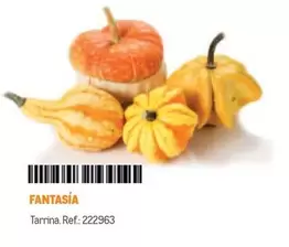 Oferta de Fantasía en Makro