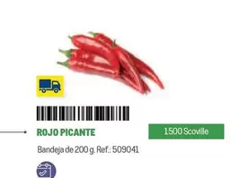 Oferta de Rojo Picante en Makro