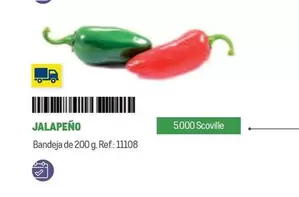 Oferta de Jalapeño en Makro