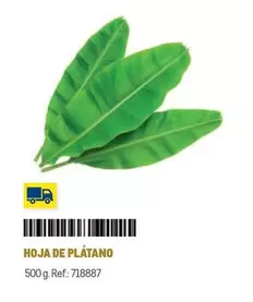 Oferta de Hoja De Platano en Makro