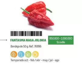 Oferta de Fantasma Naga Jolokia en Makro