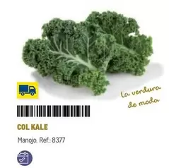 Oferta de Col Kale en Makro